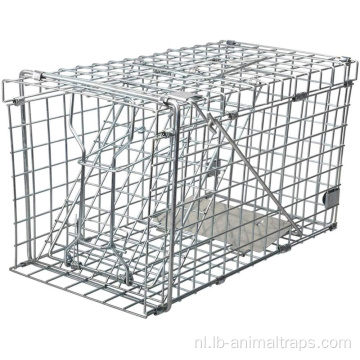 Squirrel Trap Inklapbare Humane Live Squirrel Cage Trap